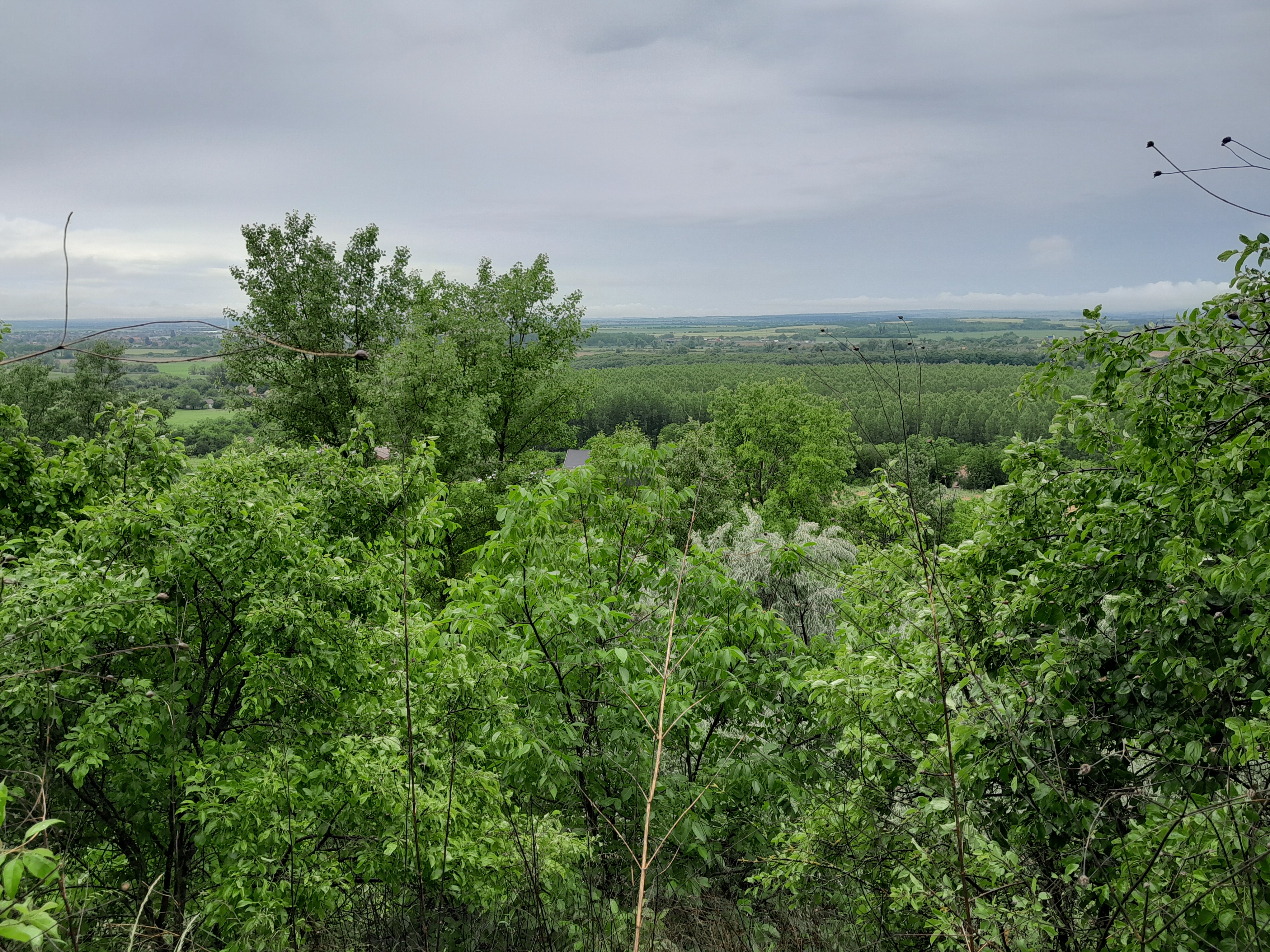 Eladó Telephely - Hatvan Balassi út - 14 900 000 Ft-kép(16460)