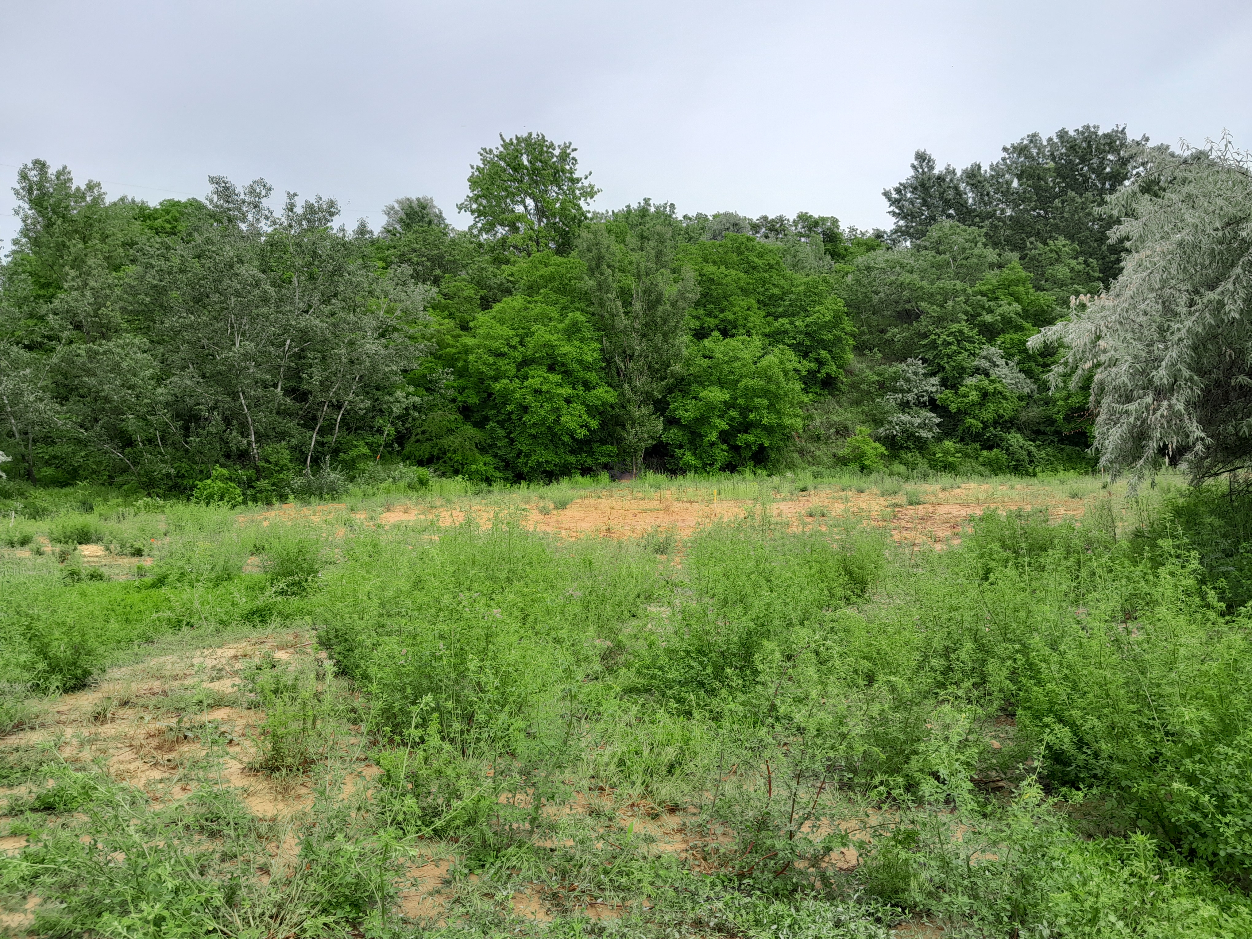 Eladó Telephely - Hatvan Balassi út - 14 900 000 Ft-kép(16462)