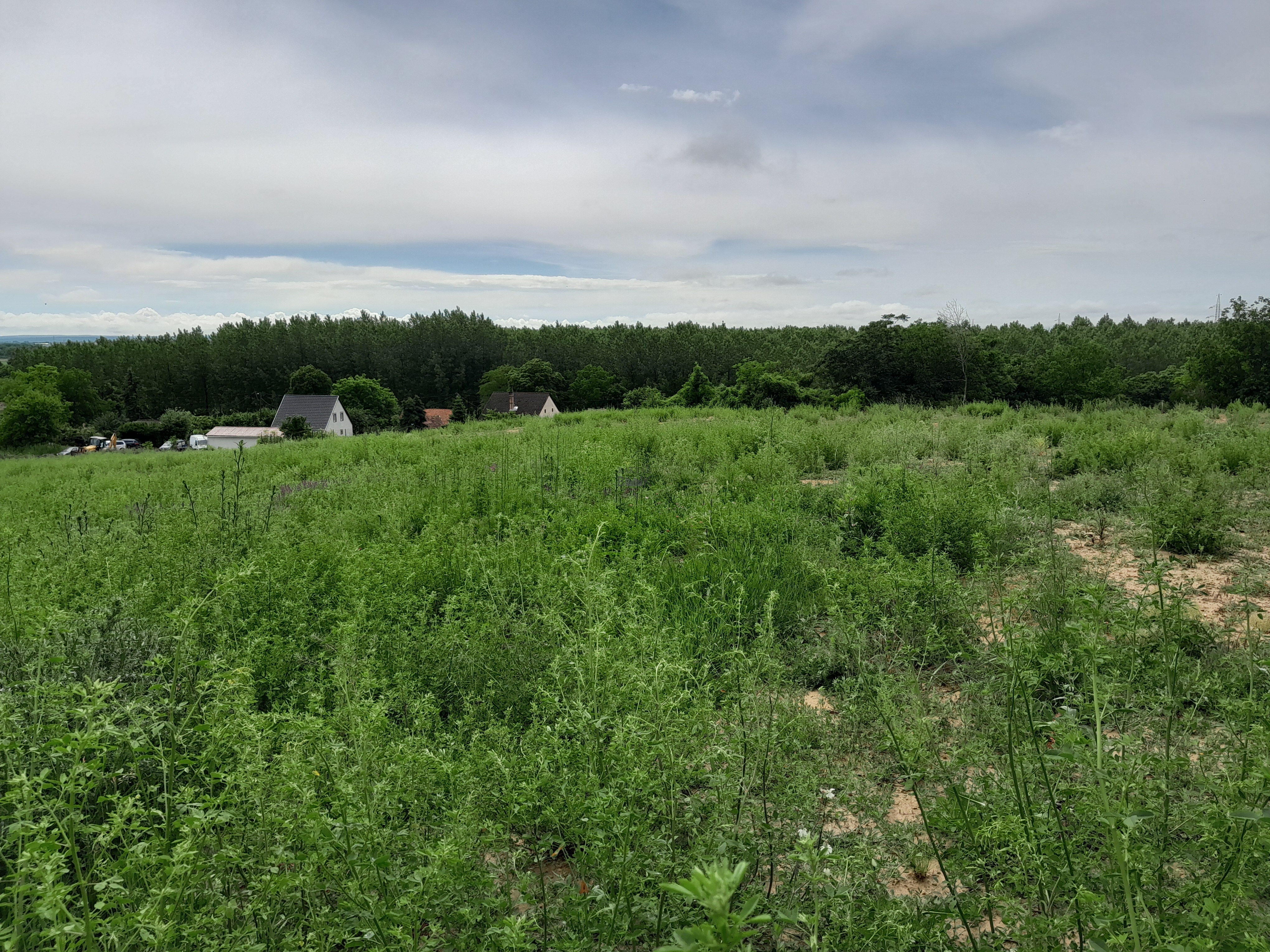 Eladó Telephely - Hatvan Balassi út - 14 900 000 Ft-kép(16461)