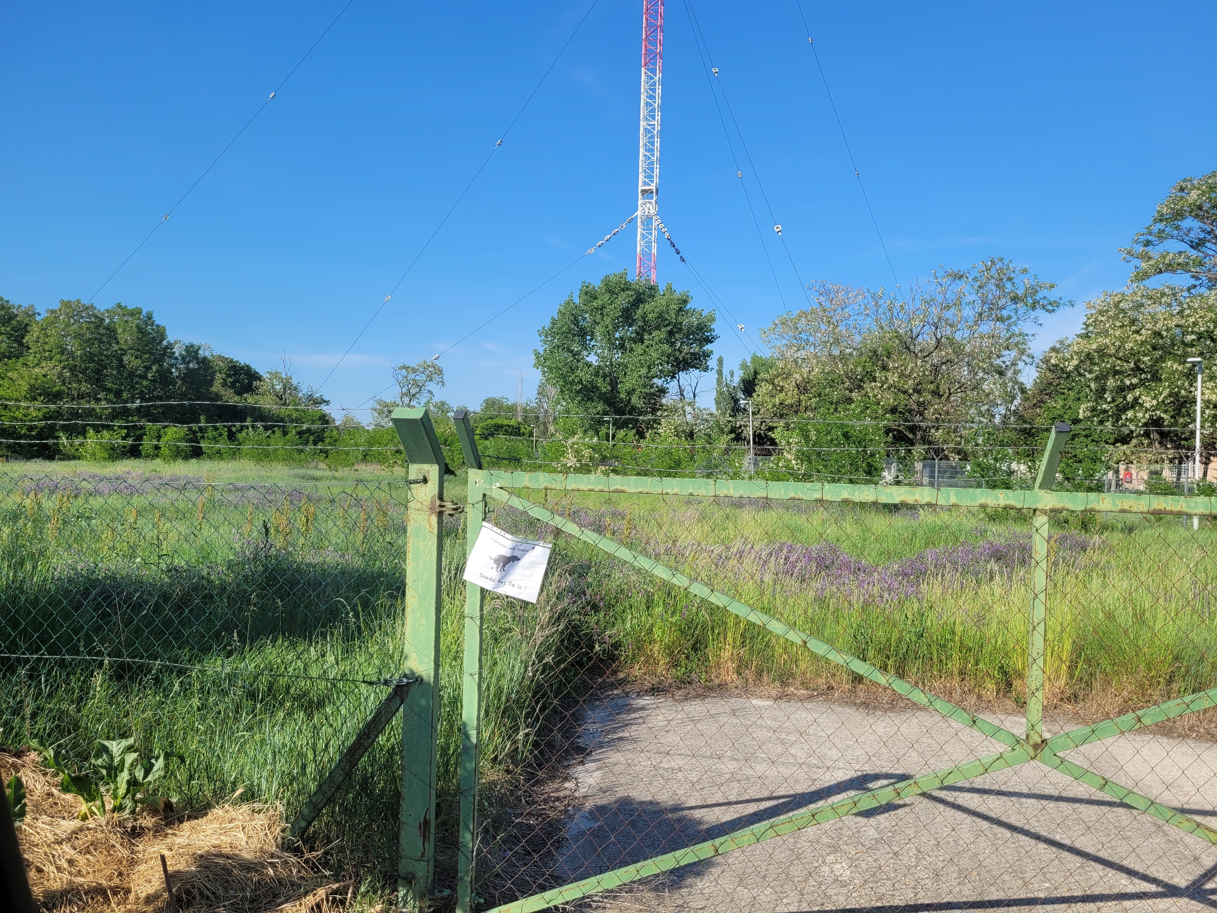 Eladó Telek - Szigetszentmiklós-Lakihegy Komp - 50 000 000 Ft-kép(11767)
