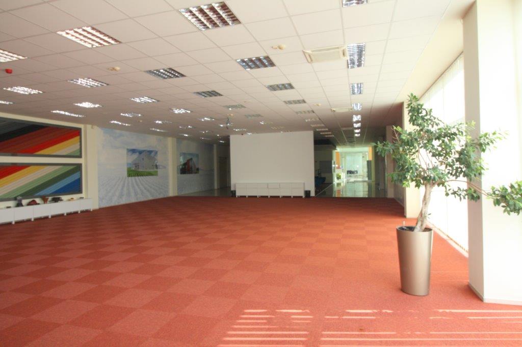 Eladó Raktár - Biatorbágy Ipari Park - 6 900 000,0 EUR-kép(11026)