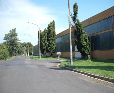 Kiadó Raktár - Kapuvár Győri út - 2,0 EUR/m2/hó-kép(1617)