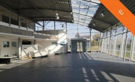 Eladó Telephely - Pécs Koksz utca - 343 000 000 Ft-kép(7333)