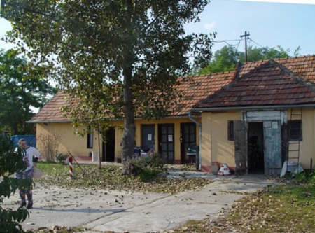 Eladó Telephely - Daruszentmiklós Pázmánd utca - 80 000 000 Ft-kép(665)