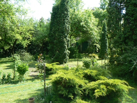 Eladó Raktár - Gödöllő - Máriabesnyő Fenyves köz  - 13 000 000 Ft-kép(693)