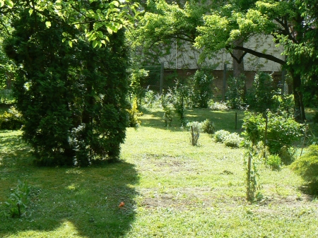 Eladó Raktár - Gödöllő - Máriabesnyő Fenyves köz  - 13 000 000 Ft-kép(694)