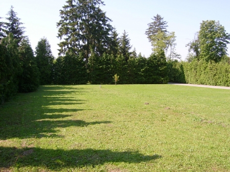 Kiadó Telephely - Szombathely Szent István király - 200 Ft/m2/hó-kép(7619)